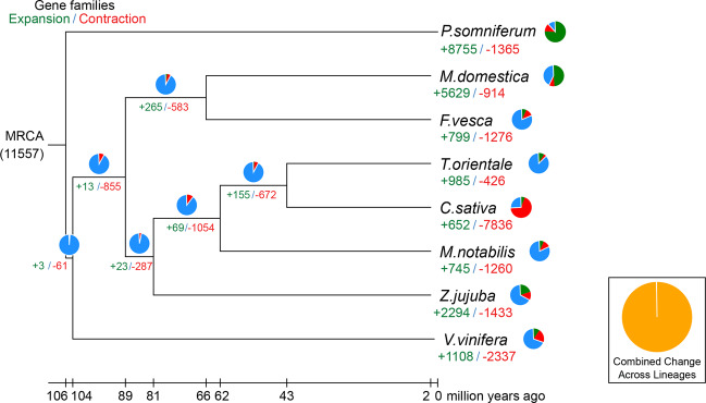 PMC7195422 – Fig4