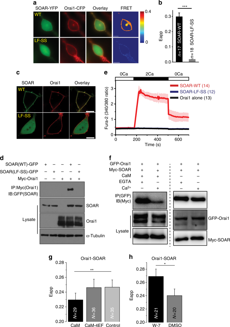 PMC5648805 – Fig4