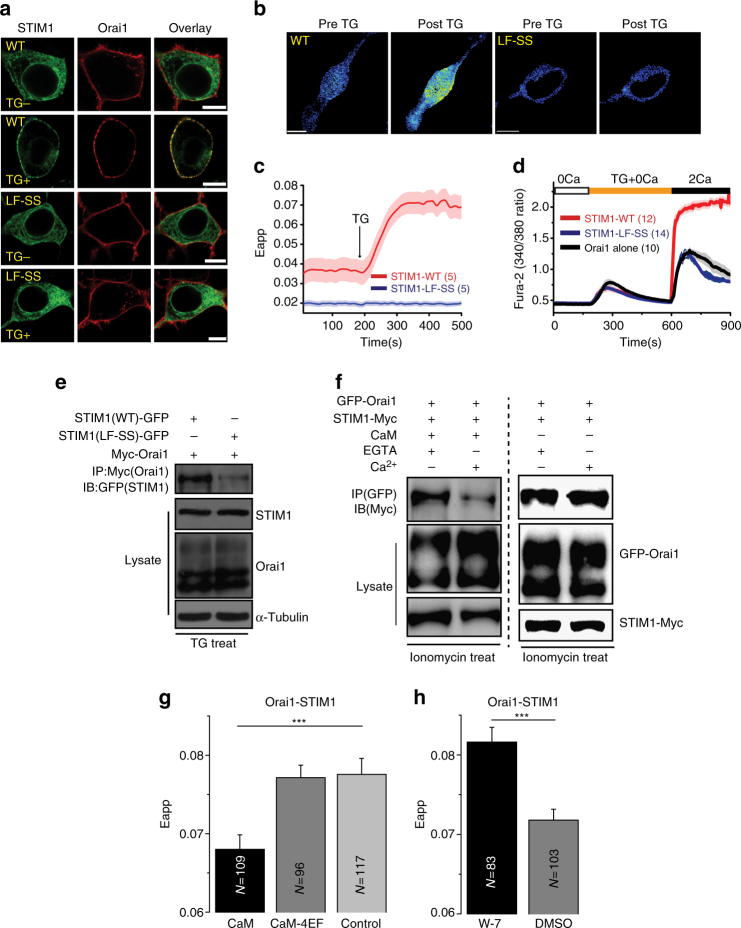 PMC5648805 – Fig5
