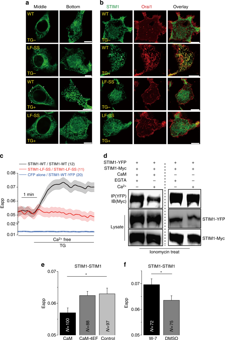 PMC5648805 – Fig6