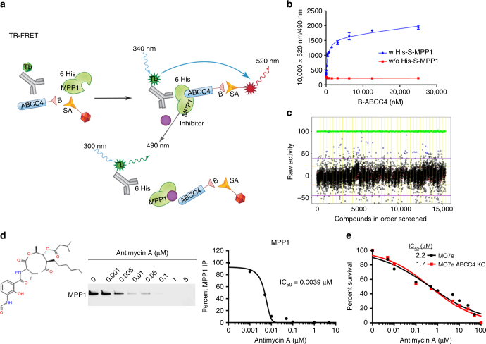 PMC5691054 – Fig5