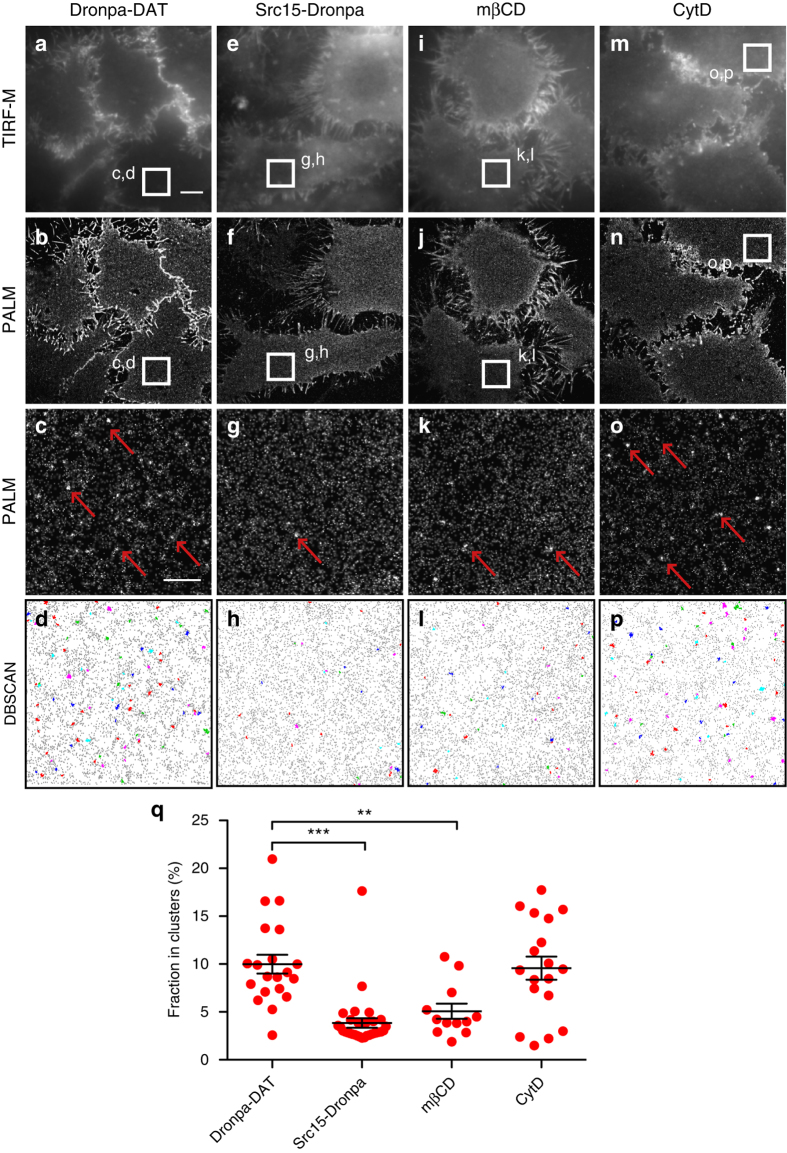 PMC5622129 – Fig1