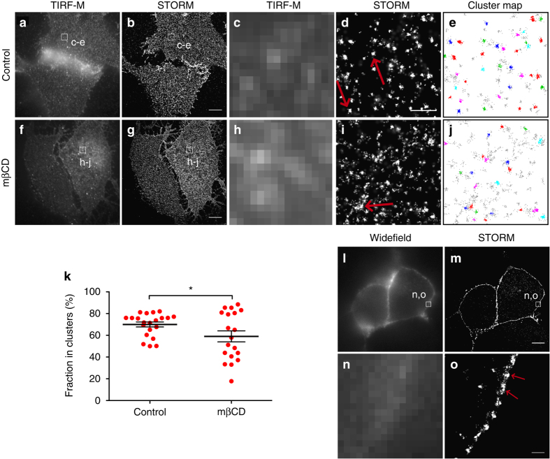 PMC5622129 – Fig2