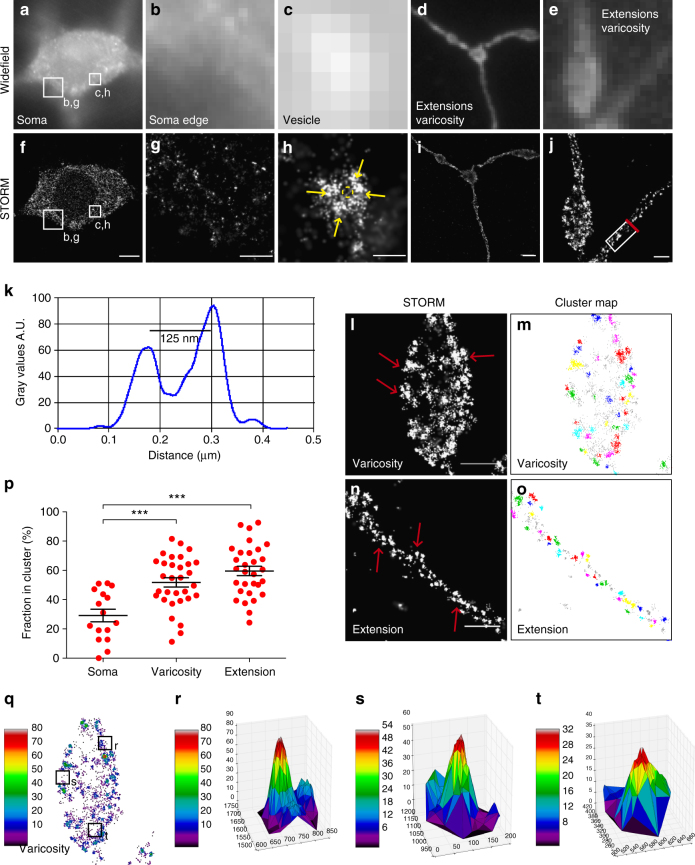 PMC5622129 – Fig3