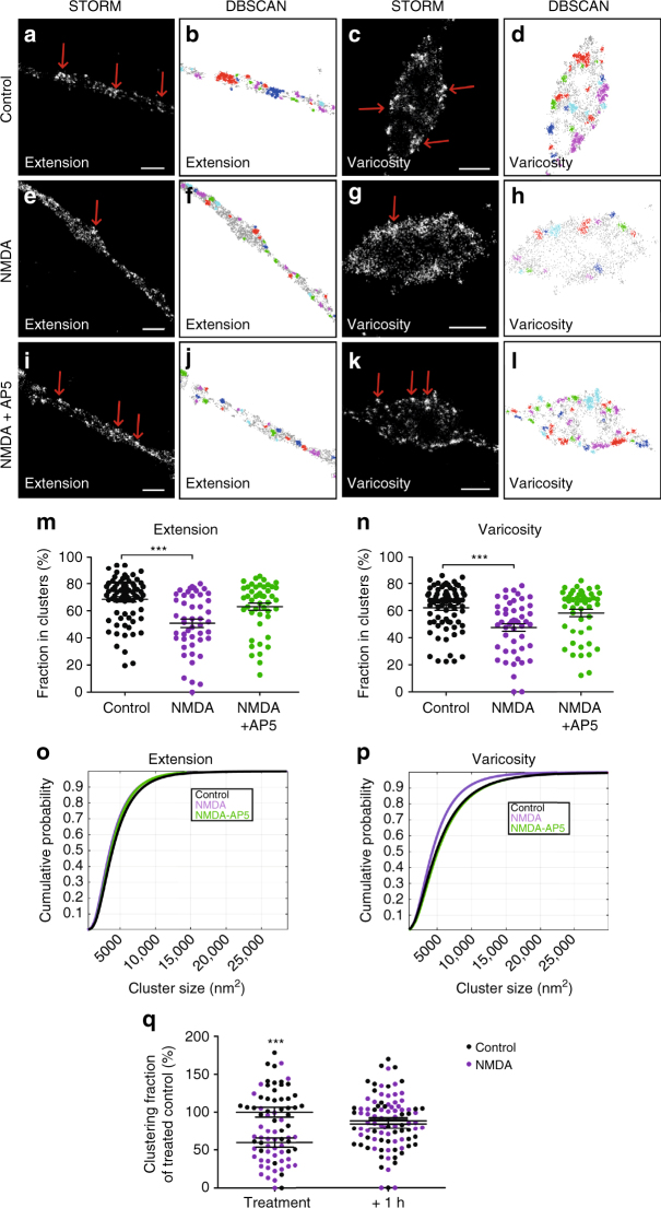 PMC5622129 – Fig5