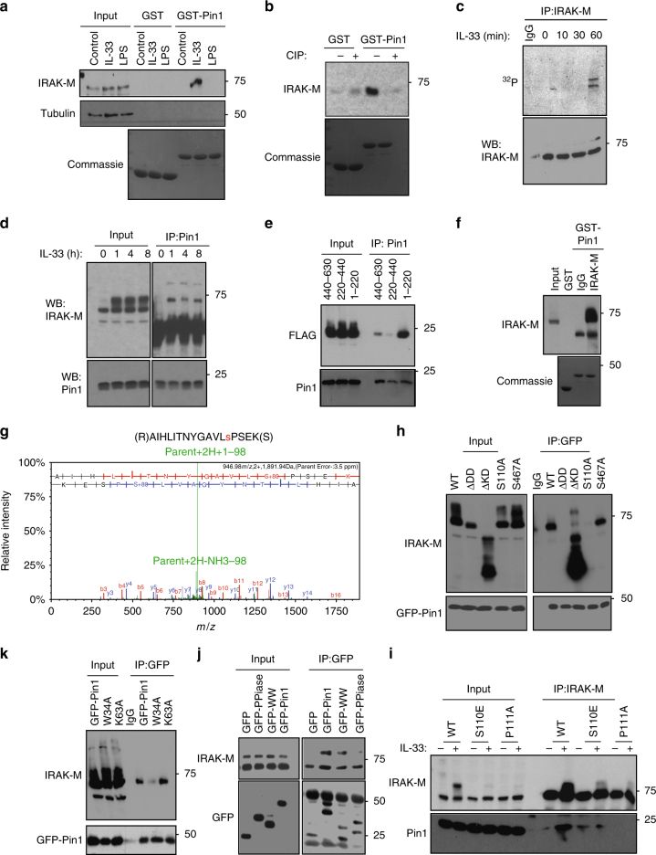 PMC5913134 – Fig2
