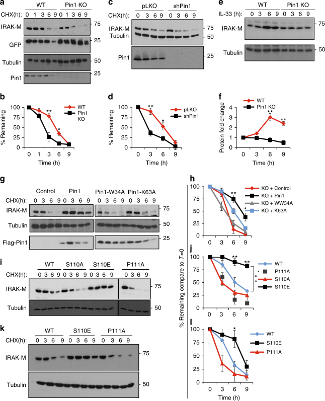 PMC5913134 – Fig4