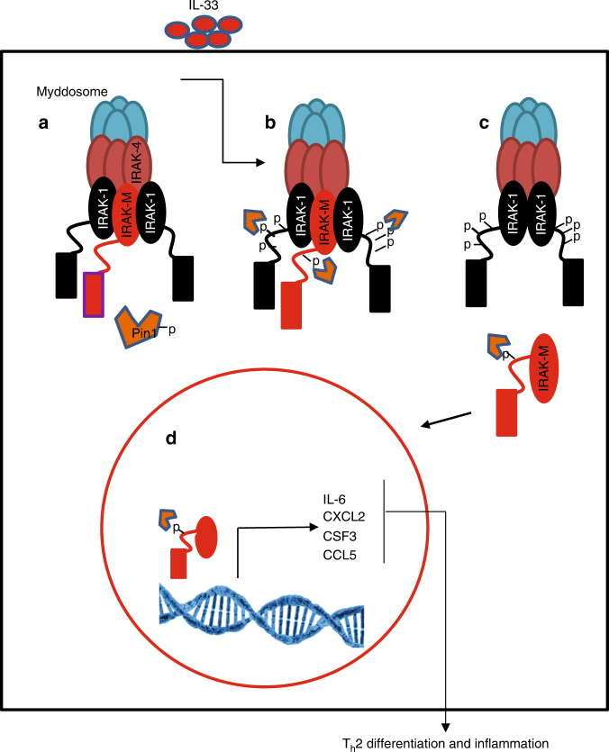 PMC5913134 – Fig8
