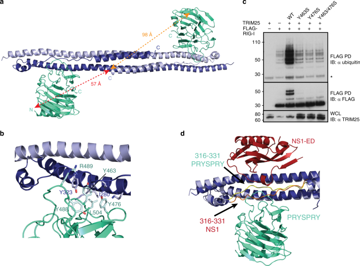 PMC5940772 – Fig4