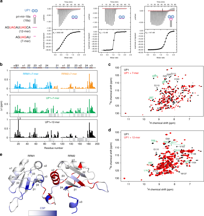 PMC6018666 – Fig2
