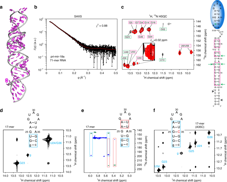 PMC6018666 – Fig4