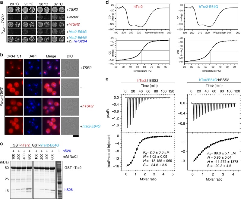 PMC6131548 – Fig5