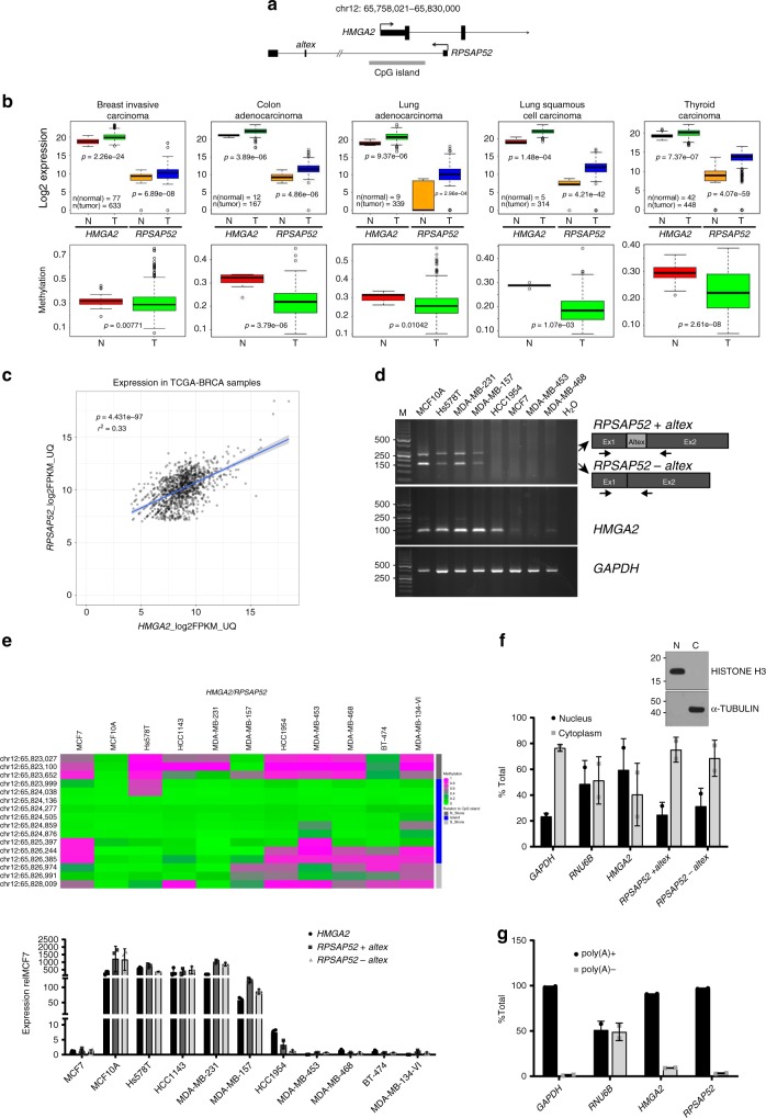 PMC6726650 – Fig1