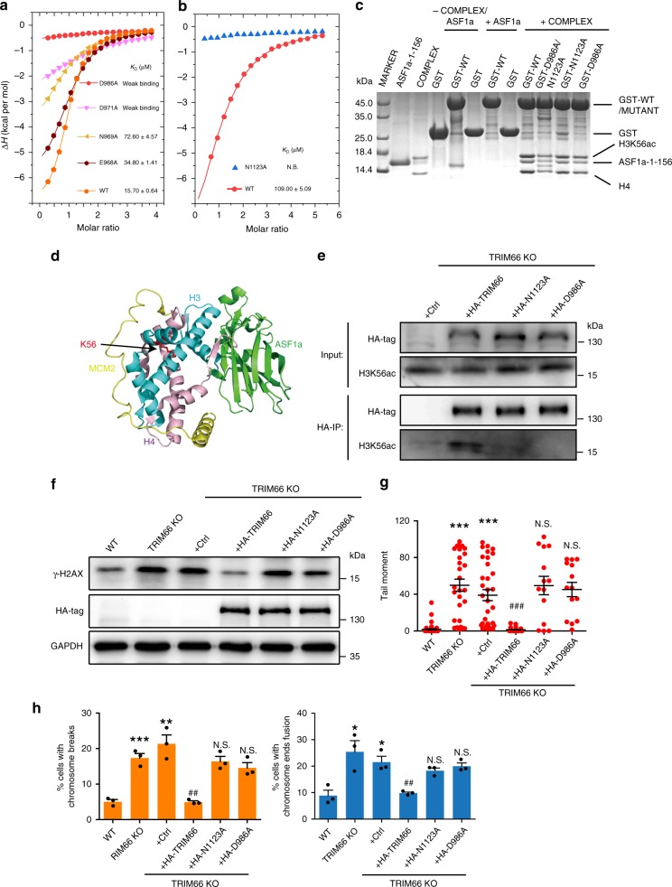 PMC6753139 – Fig4