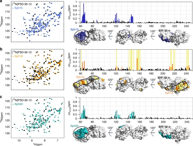 PMC6778148 – Fig3