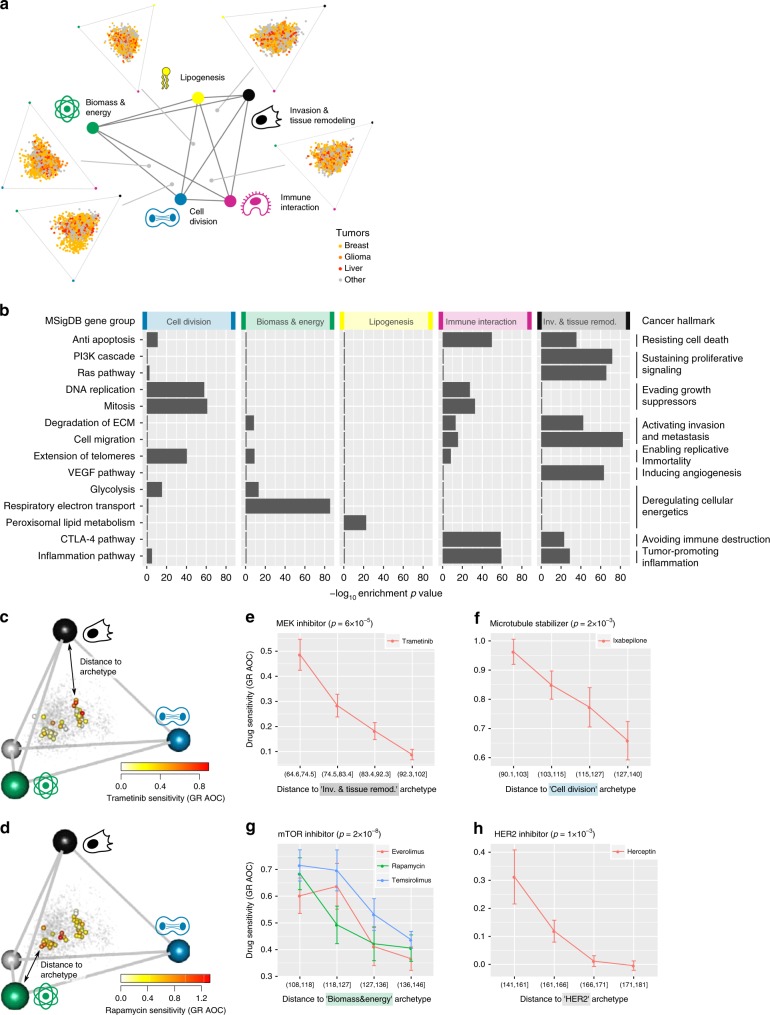 PMC6882839 – Fig2