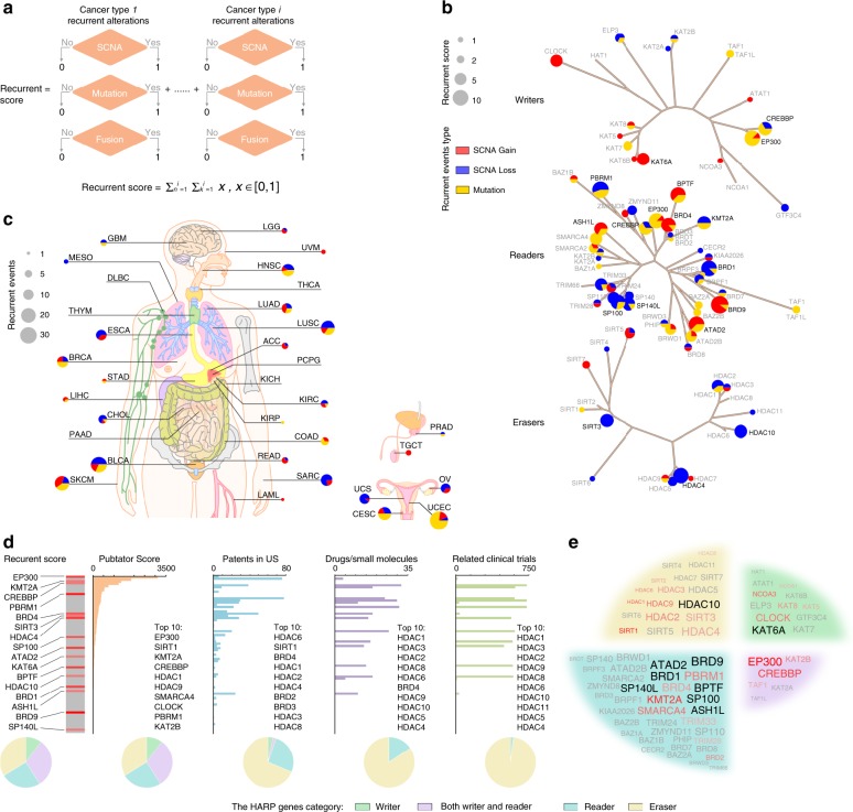 PMC6374416 – Fig7