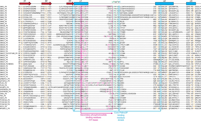 PMC6449406 – Fig4