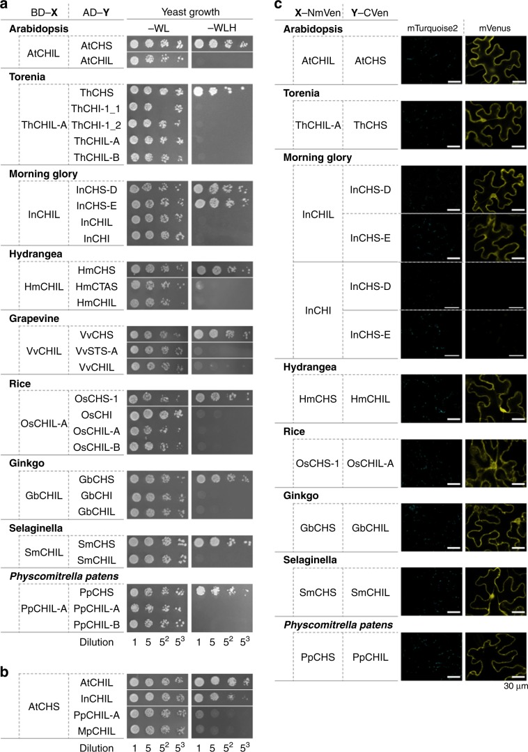 PMC7018950 – Fig3