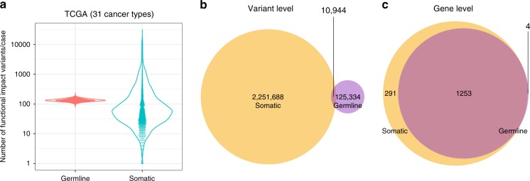 PMC7228928 – Fig1