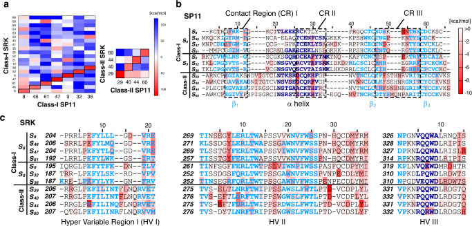 PMC7530648 – Fig3