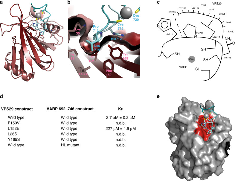 PMC7539009 – Fig3