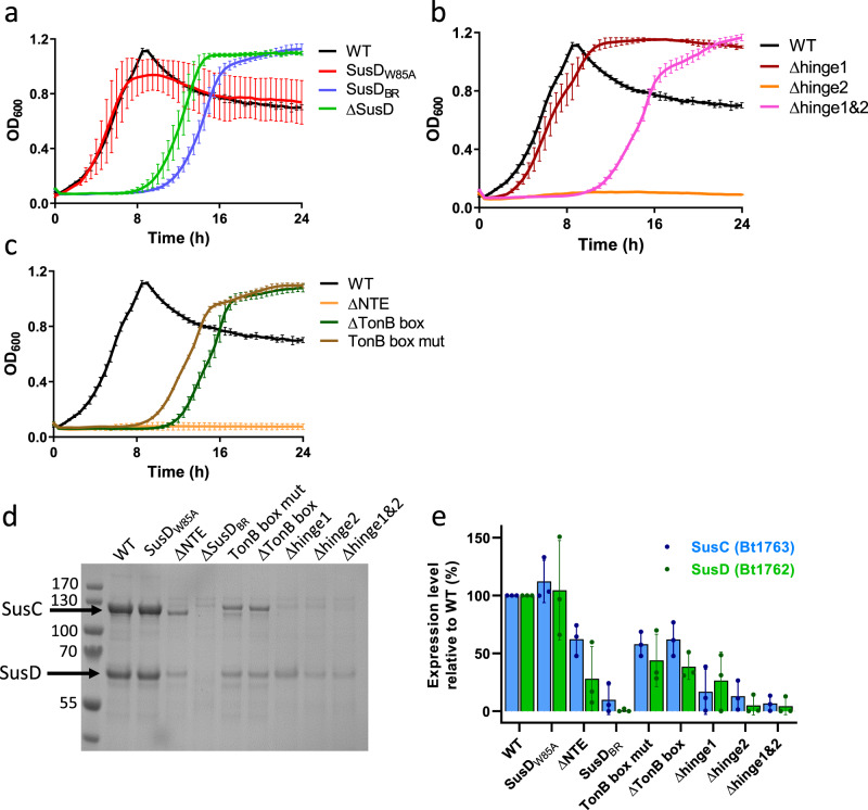 PMC7782687 – Fig4