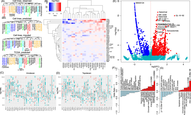 PMC7979803 – Fig6