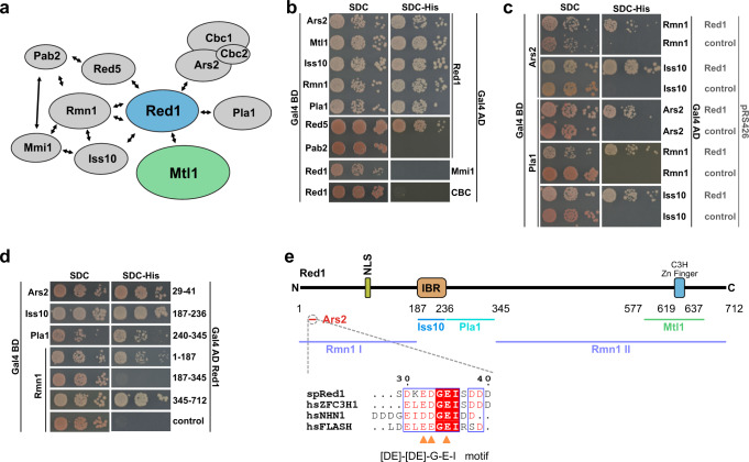 PMC8187409 – Fig1