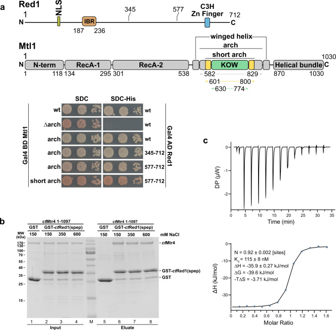 PMC8187409 – Fig3