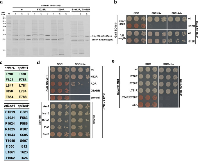 PMC8187409 – Fig5