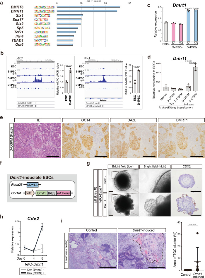 PMC8377058 – Fig5