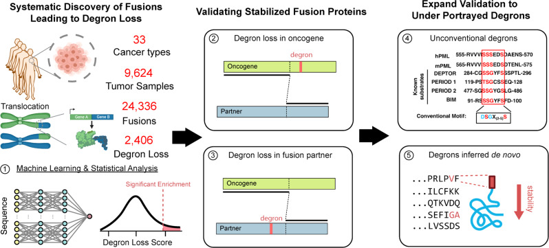 PMC8602260 – Fig1