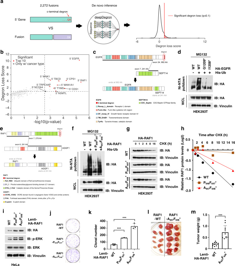 PMC8602260 – Fig6