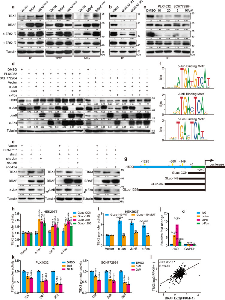 PMC8948260 – Fig2
