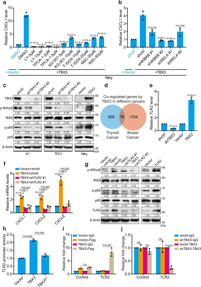 PMC8948260 – Fig4