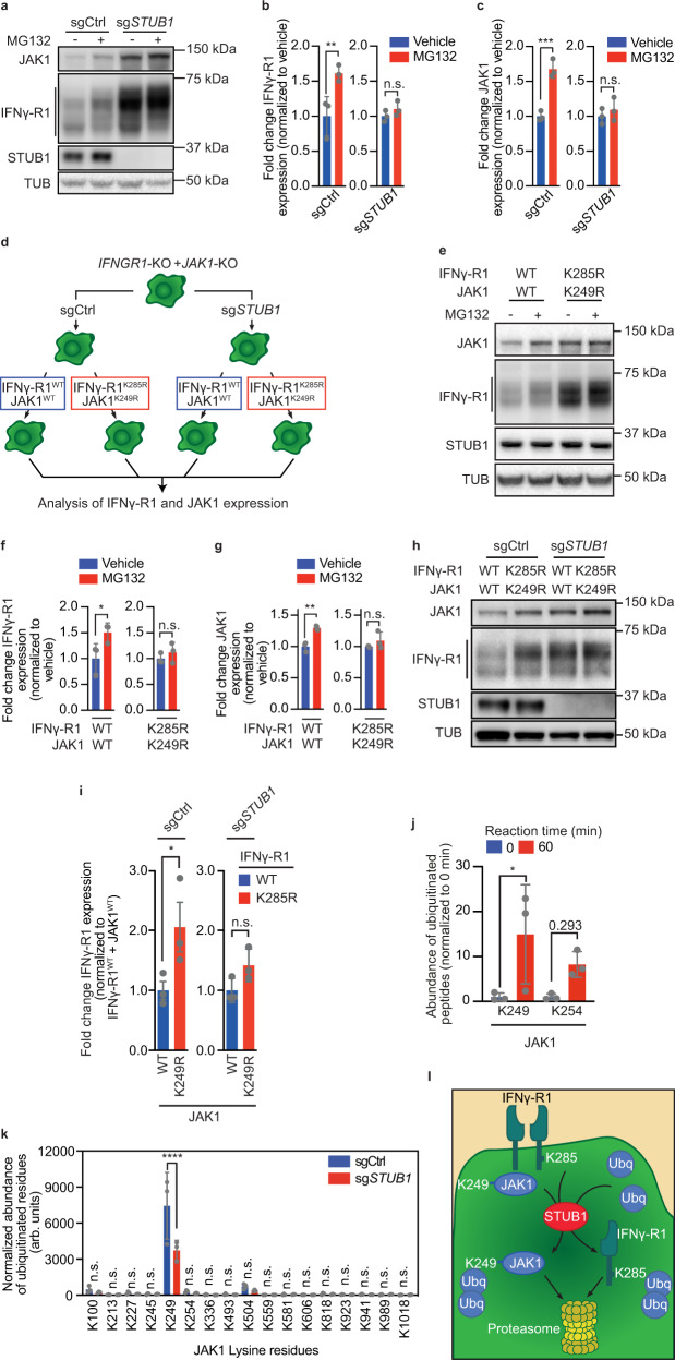 PMC8993893 – Fig3