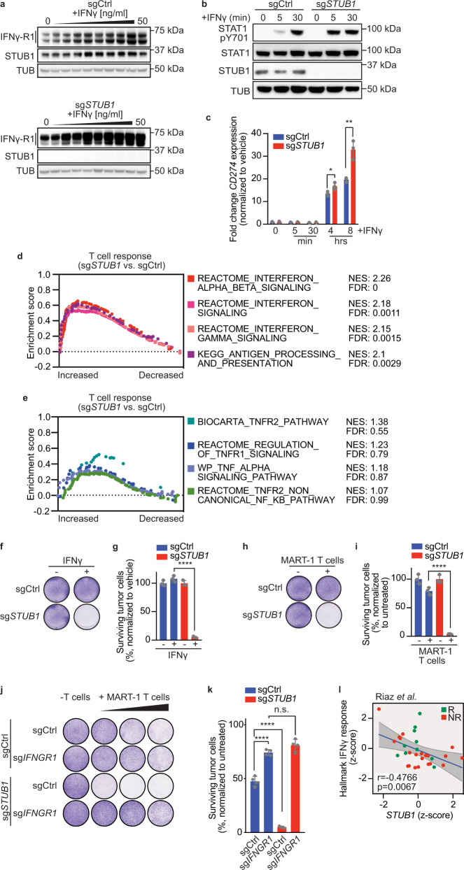 PMC8993893 – Fig4