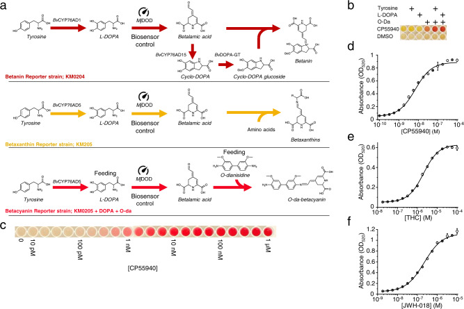 PMC9237071 – Fig3
