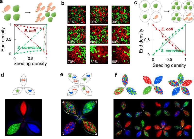 PMC9256712 – Fig4