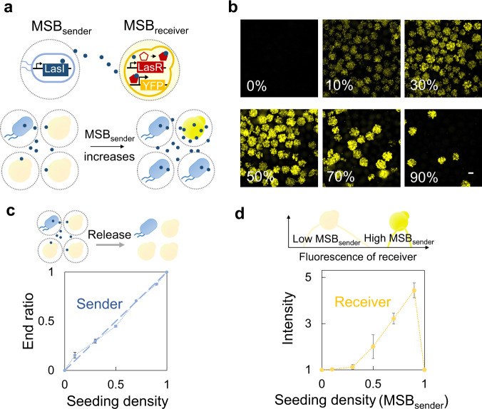 PMC9256712 – Fig6