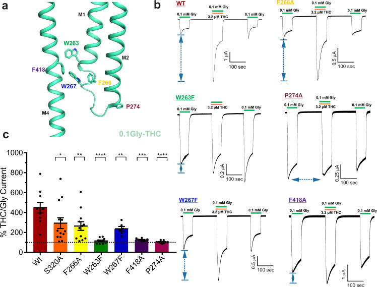 PMC9388682 – Fig6