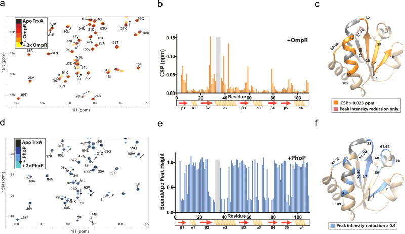 PMC9584953 – Fig2