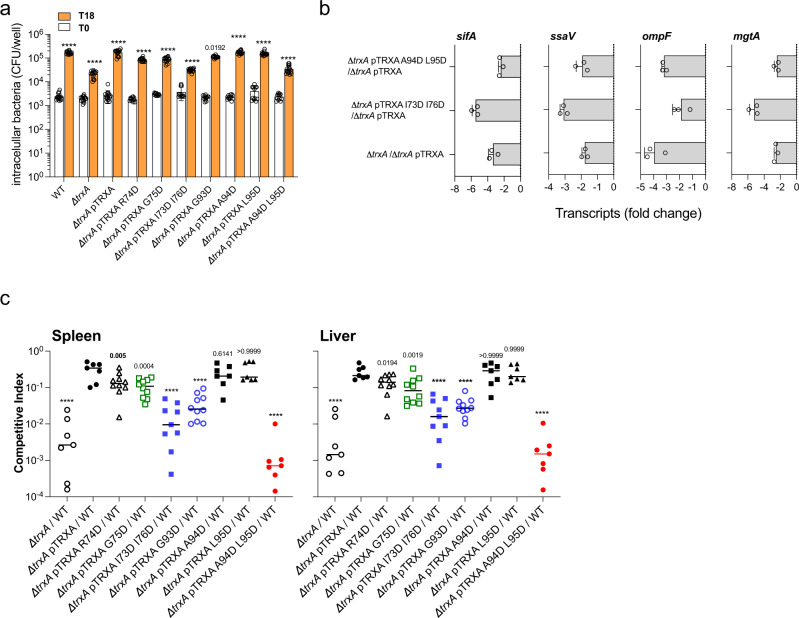 PMC9584953 – Fig4