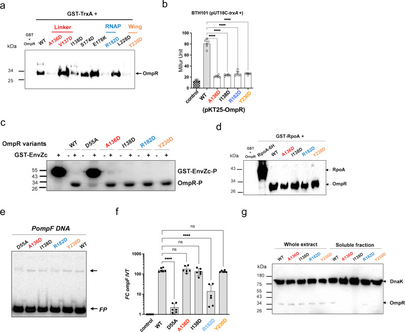 PMC9584953 – Fig6