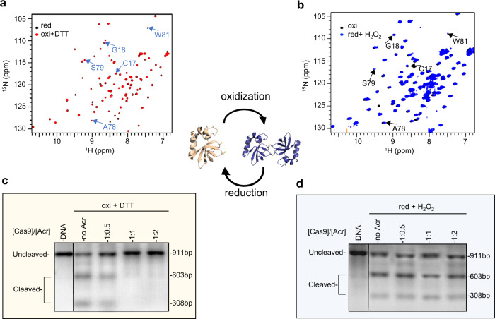 PMC9674691 – Fig4
