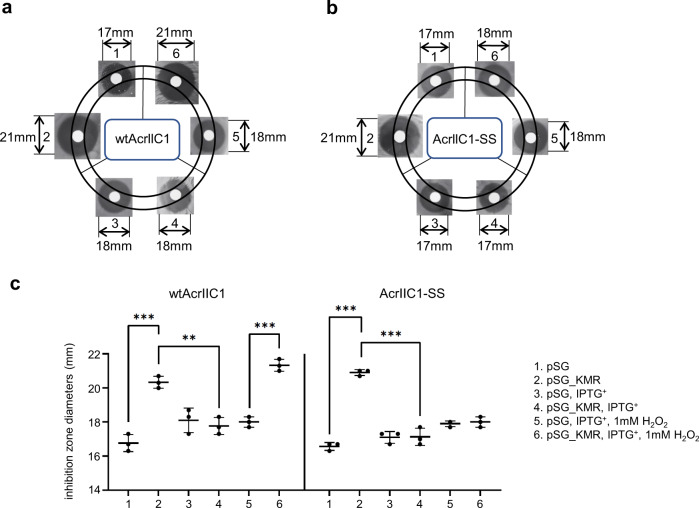 PMC9674691 – Fig6