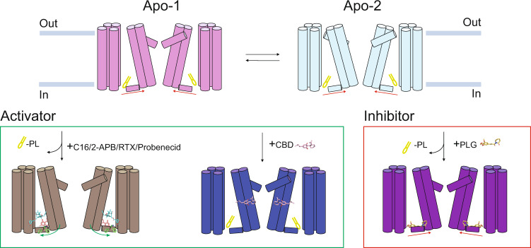 PMC9722916 – Fig10