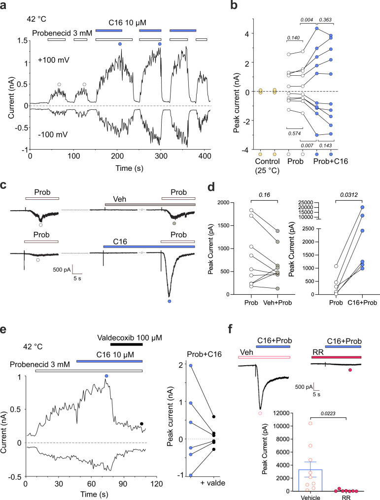 PMC9722916 – Fig2