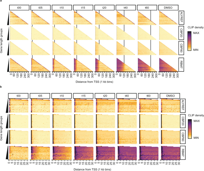 PMC9908952 – Fig2